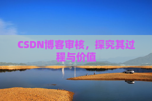 CSDN博客审核，探究其过程与价值